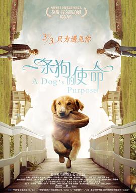 中文字幕在线精品不卡